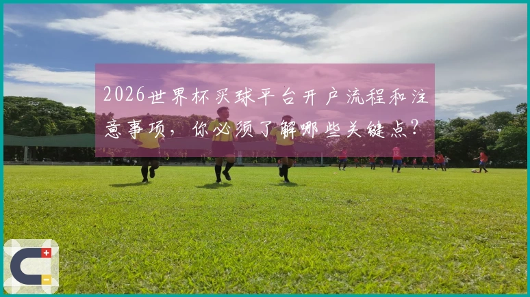 2026世界杯买球平台开户流程和注意事项，你必须了解哪些关键点？