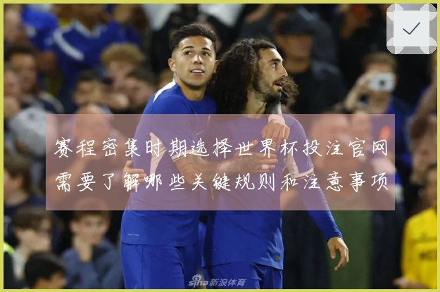 赛程密集时期选择世界杯投注官网需要了解哪些关键规则和注意事项