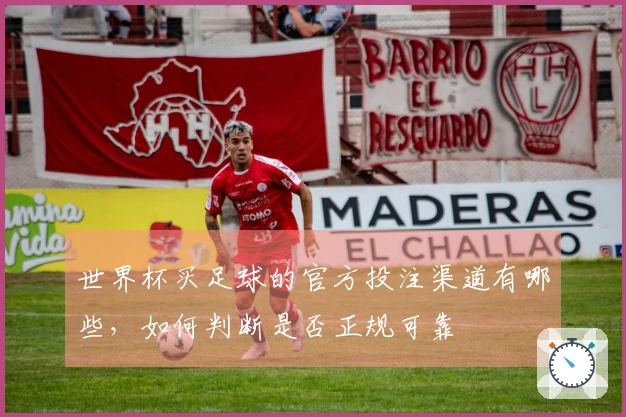 世界杯买足球的官方投注渠道有哪些,如何判断是否正规可靠