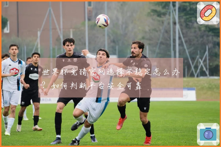 世界杯竞猜官网选择不稳定怎么办？如何判断平台安全可靠