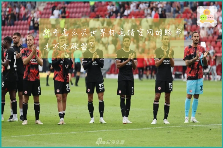 新手怎么买世界杯竞猜官网的赔率才不会踩雷？