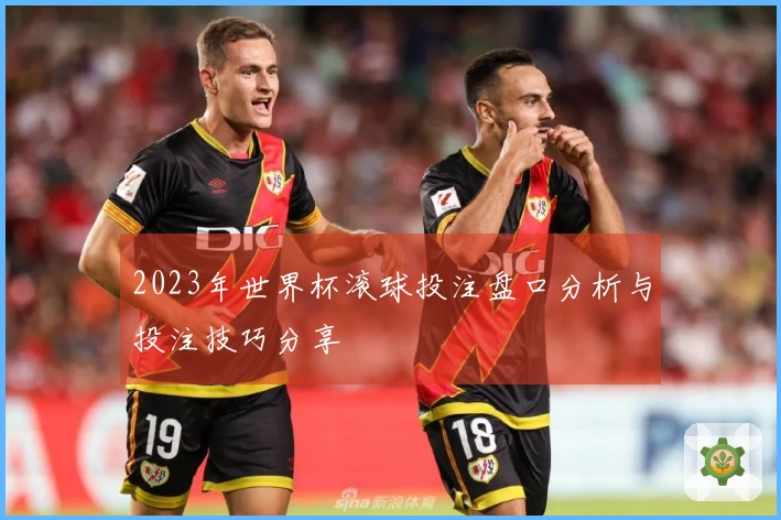 2023年世界杯滚球投注盘口分析与投注技巧分享