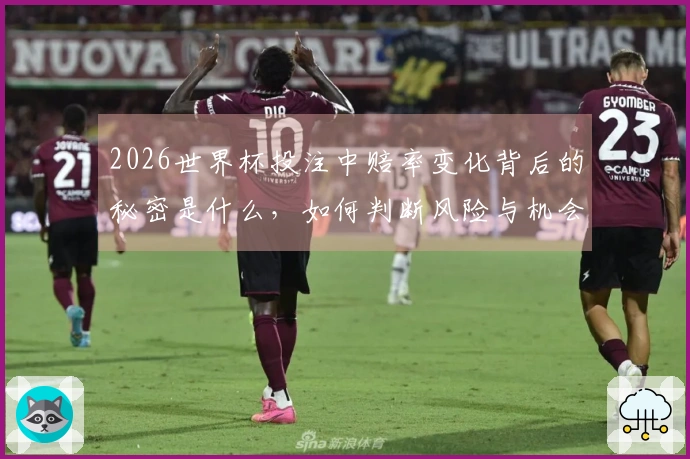 2026世界杯投注中赔率变化背后的秘密是什么，如何判断风险与机会？