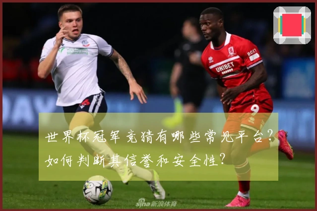 世界杯冠军竞猜有哪些常见平台？如何判断其信誉和安全性？