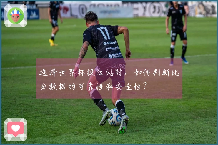 选择世界杯投注站时，如何判断比分数据的可靠性和安全性？