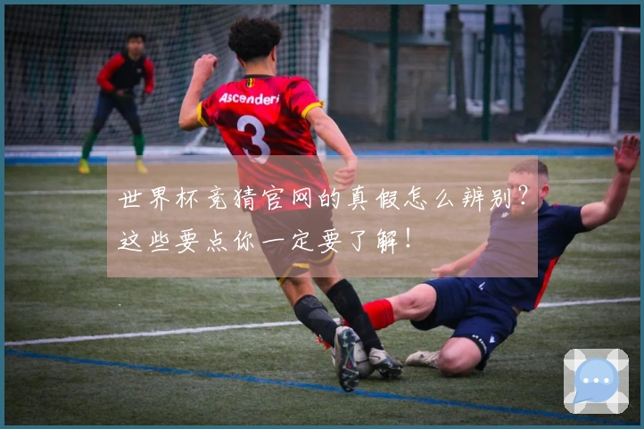 世界杯竞猜官网的真假怎么辨别？这些要点你一定要了解！