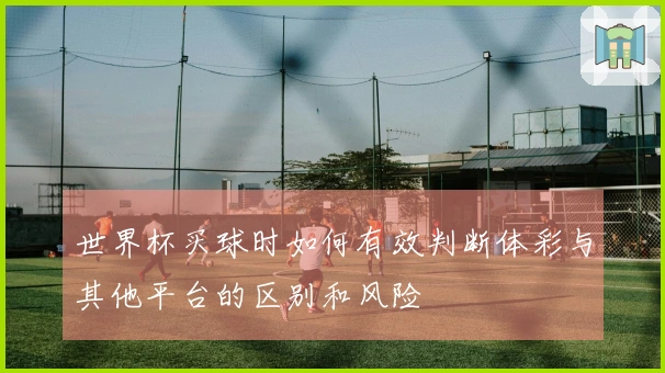 世界杯买球时如何有效判断体彩与其他平台的区别和风险