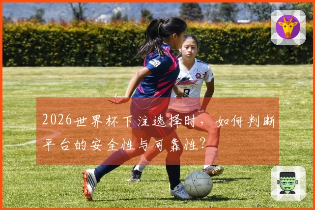 2026世界杯下注选择时，如何判断平台的安全性与可靠性？