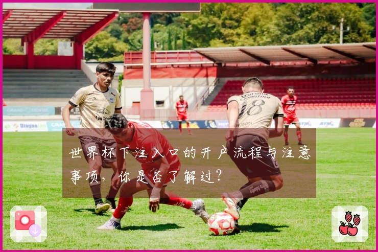 世界杯下注入口的开户流程与注意事项，你是否了解过？