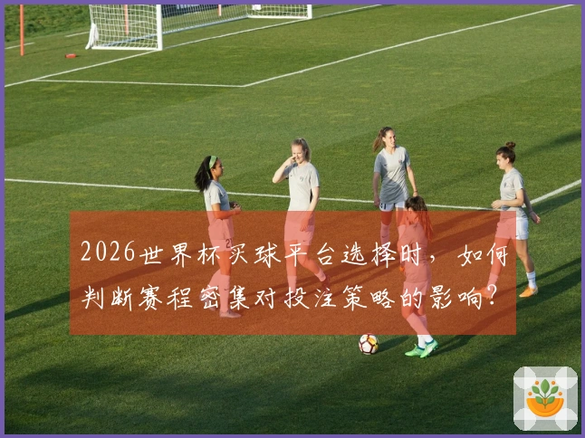 2026世界杯买球平台选择时,如何判断赛程密集对投注策略的影响?