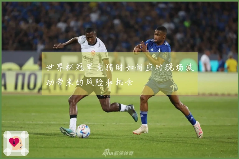 世界杯冠军竞猜时如何应对现场波动带来的风险和机会