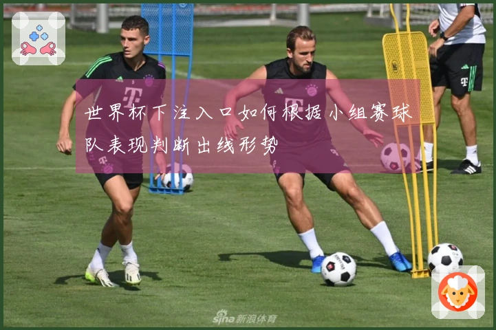 世界杯下注入口如何根据小组赛球队表现判断出线形势