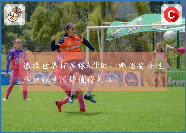 选择世界杯买球APP时，哪些安全性和功能性问题值得关注？
