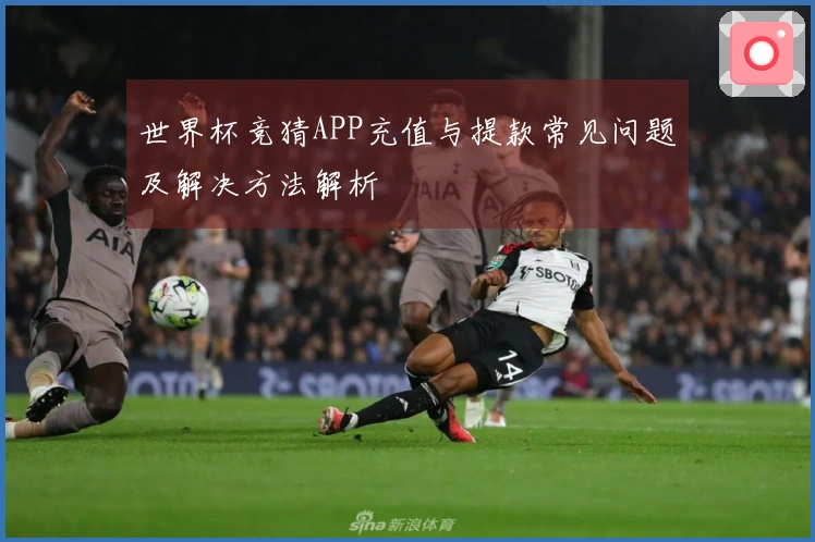 世界杯竞猜APP充值与提款常见问题及解决方法解析