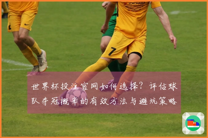世界杯投注官网如何选择？评估球队夺冠概率的有效方法与避坑策略