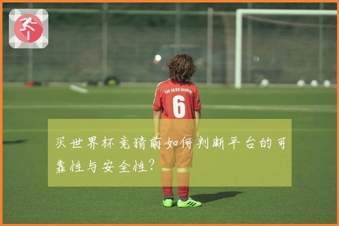 买世界杯竞猜前如何判断平台的可靠性与安全性？