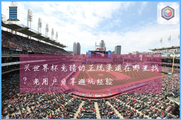 买世界杯竞猜的正规渠道在哪里找？老用户分享避坑经验