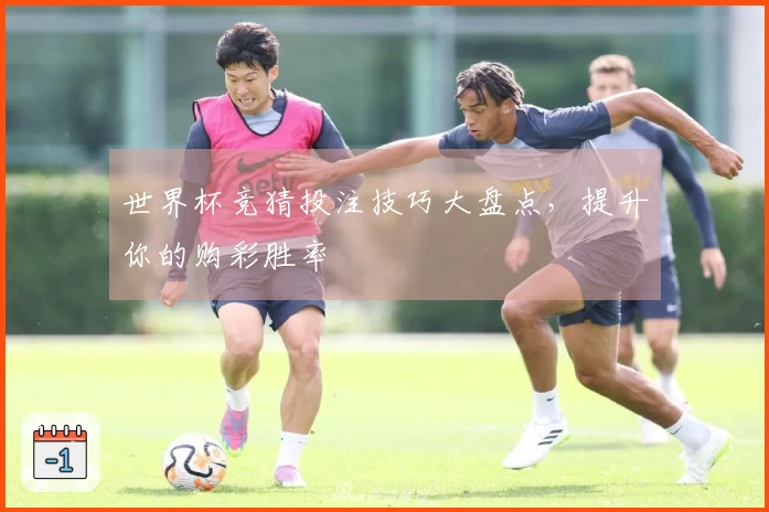 世界杯竞猜投注技巧大盘点，提升你的购彩胜率