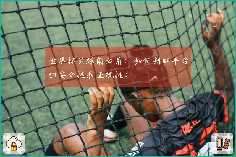 世界杯买球前必看：如何判断平台的安全性和正规性？