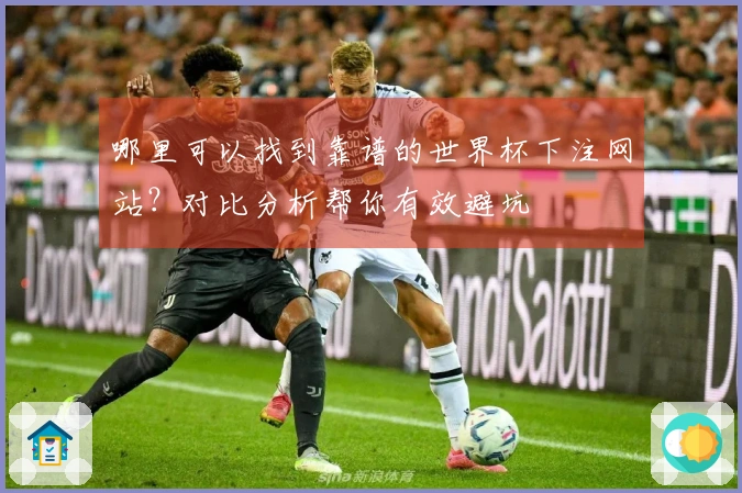 哪里可以找到靠谱的世界杯下注网站？对比分析帮你有效避坑