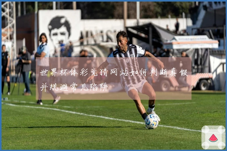 世界杯体彩竞猜网站如何判断真假并规避常见陷阱