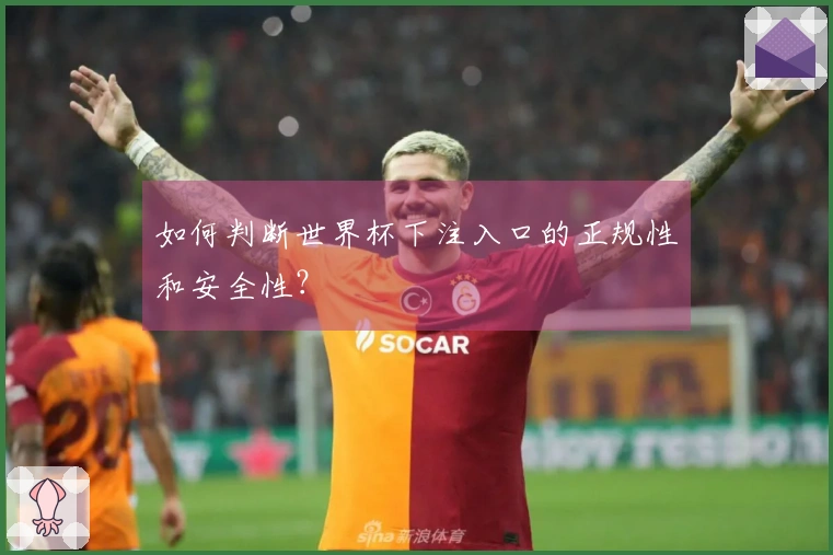 如何判断世界杯下注入口的正规性和安全性？