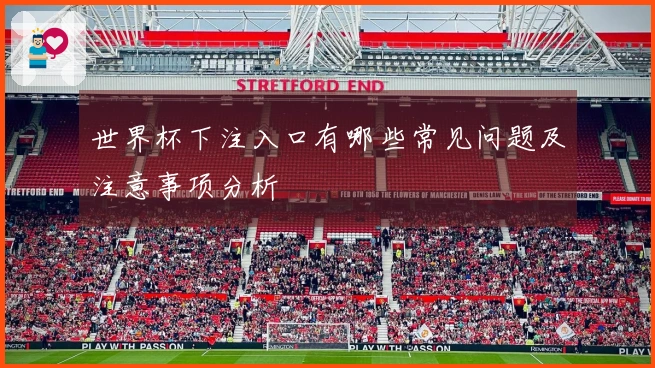 世界杯下注入口有哪些常见问题及注意事项分析